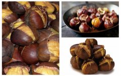 What Machine Should I Use to Roasting Chestnuts