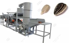 Sunflower Seeds Dehulling Machine Working Video